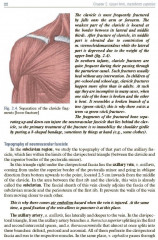 Topographic Anatomy and Operative Surgery. Textbook - Фото 5