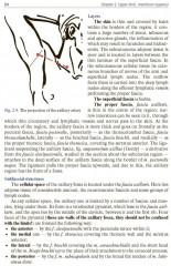 Topographic Anatomy and Operative Surgery. Textbook - Фото 7