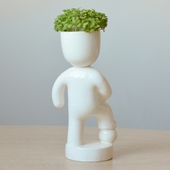 Набор для выращивания «Футболист» - Фото 1