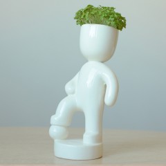 Набор для выращивания «Футболист» - Фото 2