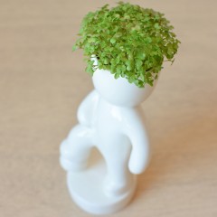 Набор для выращивания «Футболист» - Фото 3