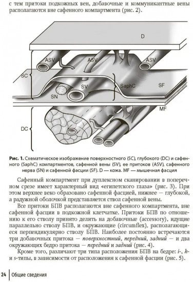 Справочник хирурга-флеболога