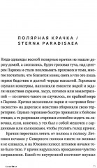 LoveStar - Фото 1