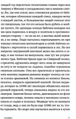 LoveStar - Фото 5