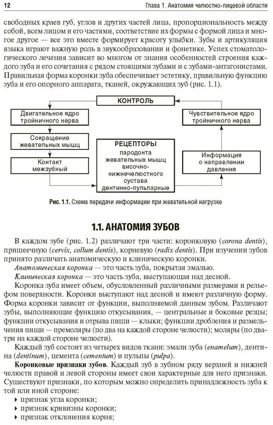 Основы челюстно-лицевого протезирования | Фото 2