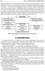 Основы челюстно-лицевого протезирования - Фото 2