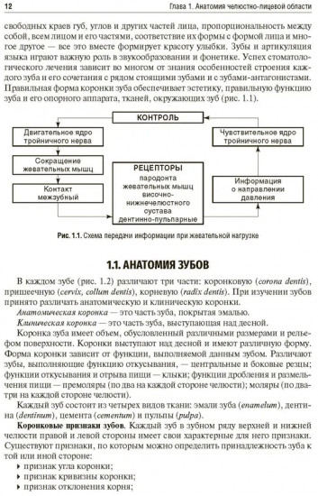 Основы челюстно-лицевого протезирования