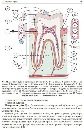 Основы челюстно-лицевого протезирования