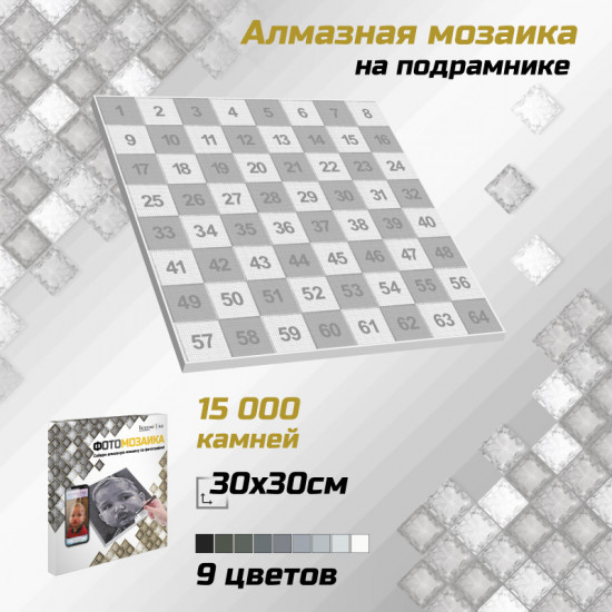 Алмазная мозаика «Фотомозаика» ч/б