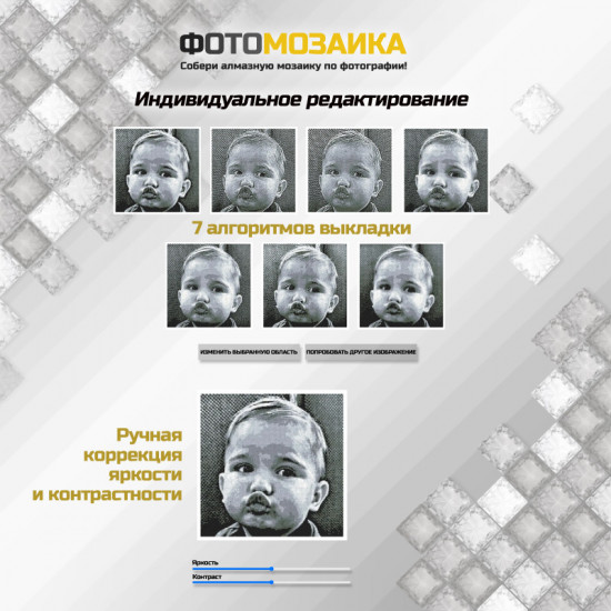 Алмазная мозаика «Фотомозаика» ч/б