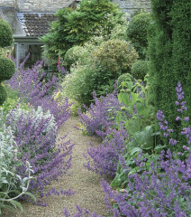 Частный сад - Фото 1