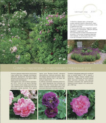 Частный сад - Фото 5