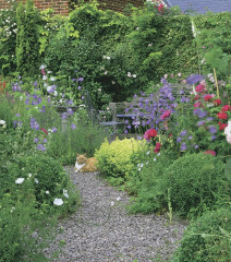 Частный сад - Фото 6