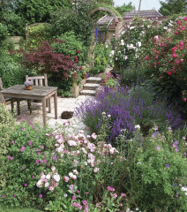 Частный сад - Фото 7