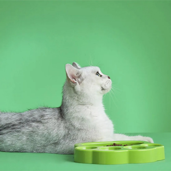 Миска интерактивная