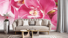Фотообои «Орхидея» - Фото 1
