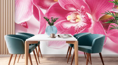 Фотообои «Орхидея» - Фото 2