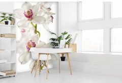 Фотообои «Изысканная орхидея» - Фото 1