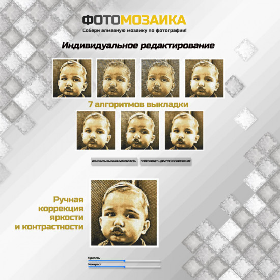 Алмазная мозаика по фото «Фотомозаика», сепия