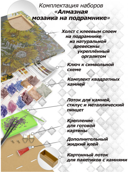 Алмазная мозаика «Мысли в стиле Пинки»