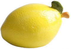 Домик для грызунов «Лимончик» - Фото 1