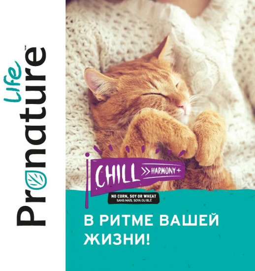 Корм для котят и кошек с мясом индейки «Chill»
