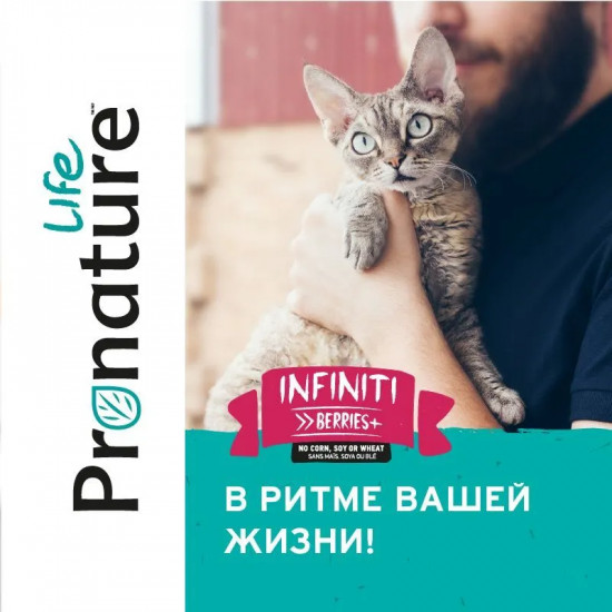 Корм для котят и кошек с мясом лосося «Infiniti»