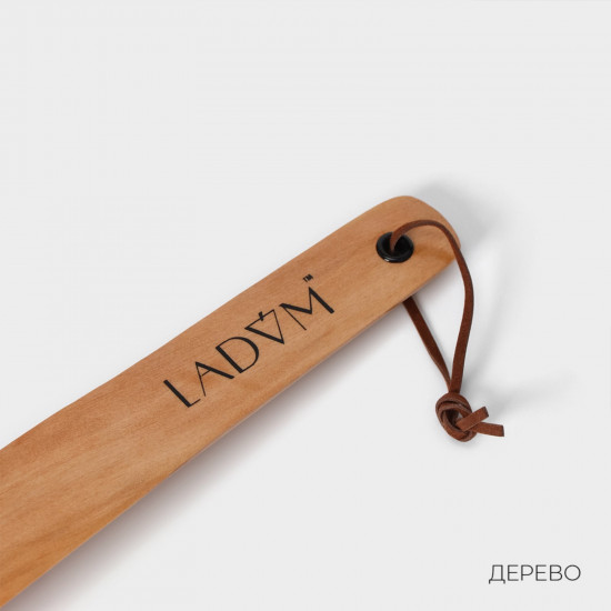 Ложка для обуви