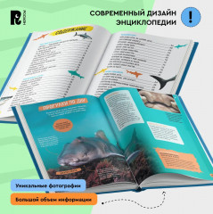 Акулы. Иллюстрированная энциклопедия - Фото 4