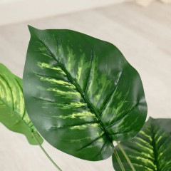 Куст искусственный «Диффенбахия» - Фото 1