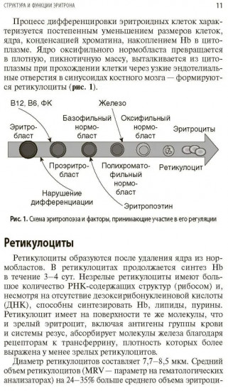 Интерпретация лабораторных исследований при анемиях