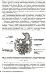 Кишечная микробиота как регулятор работы органов и систем человека. Руководство для врачей - Фото 2