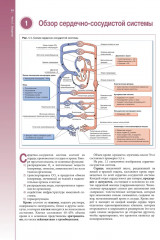 Наглядная кардиология - Фото 1