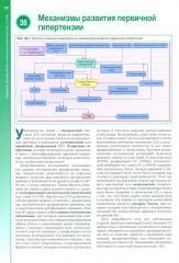 Наглядная кардиология - Фото 5