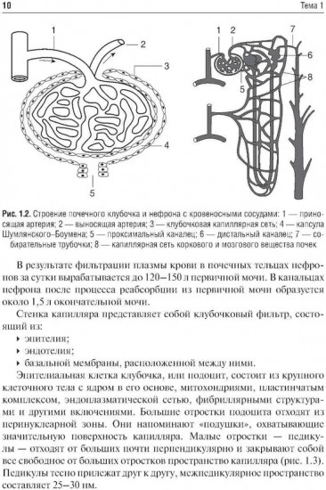 Клиническая нефрология