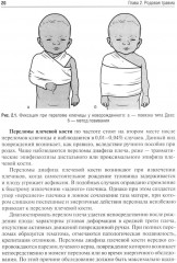 Детская травматология - Фото 5