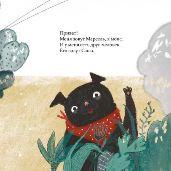 Марсель встаёт на лапы