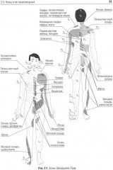 Диагностика неотложных хирургических заболеваний. Алгоритм клинического мышления - Фото 7