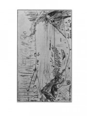 The Adventures of Sajo and Her Beaver People - Фото 4