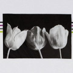 Штора для ванной «Белые цветы» - Фото 1