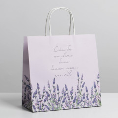 Пакет подарочный «Если бы» - Фото 1