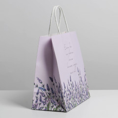 Пакет подарочный «Если бы» - Фото 2