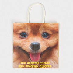 Пакет подарочный «Подарочек» - Фото 5