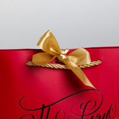 Пакет подарочный «Поздравляю» - Фото 2