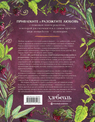Волшебство на кухне. Гайд по рецептам для любви и романтики - Фото 1