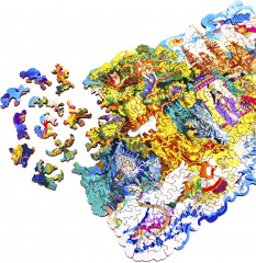 Пазл деревянный «Сказки Пушкина» - Фото 7