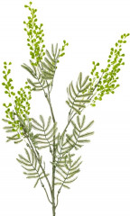 Ветка декоративная «Мимоза» - Фото 1