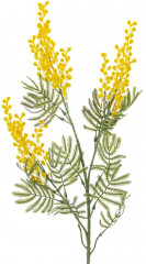 Ветка декоративная «Мимоза» - Фото 1