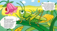 Жәндіктер. Насекомые (+0) - Фото 2