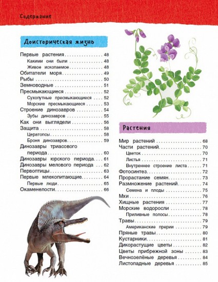 Большая иллюстрированная энциклопедия